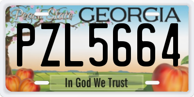 GA license plate PZL5664