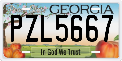 GA license plate PZL5667
