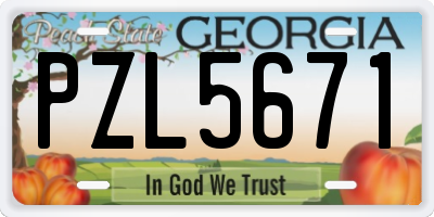 GA license plate PZL5671