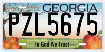GA license plate PZL5675