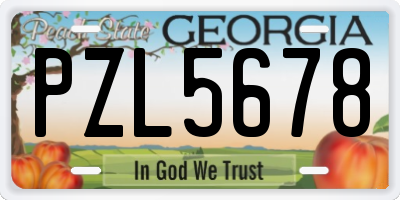 GA license plate PZL5678
