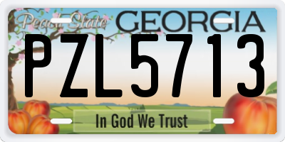 GA license plate PZL5713