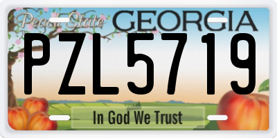 GA license plate PZL5719