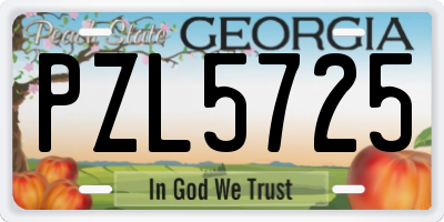 GA license plate PZL5725