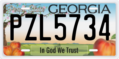 GA license plate PZL5734