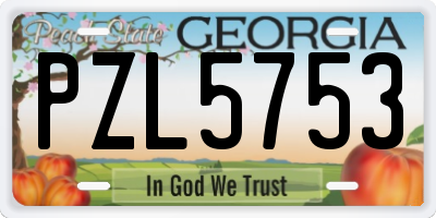 GA license plate PZL5753