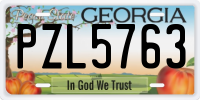 GA license plate PZL5763