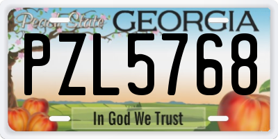 GA license plate PZL5768