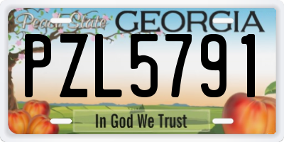 GA license plate PZL5791