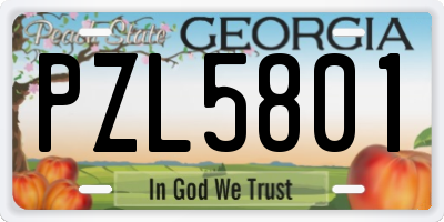 GA license plate PZL5801