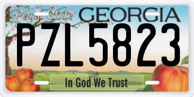 GA license plate PZL5823