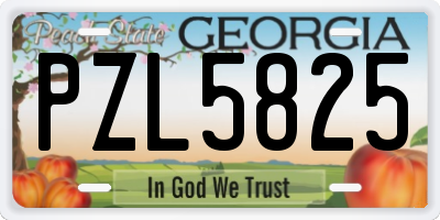 GA license plate PZL5825