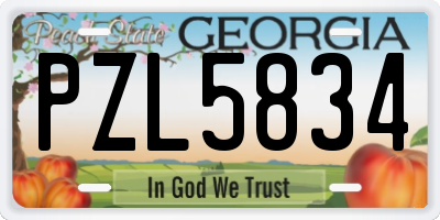 GA license plate PZL5834