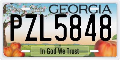 GA license plate PZL5848
