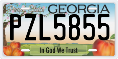 GA license plate PZL5855