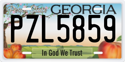 GA license plate PZL5859