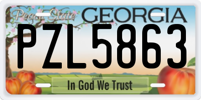 GA license plate PZL5863