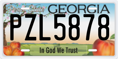 GA license plate PZL5878