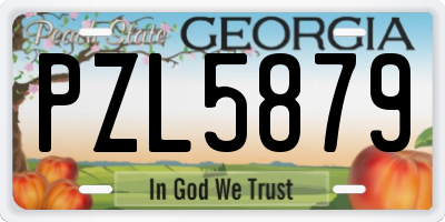 GA license plate PZL5879