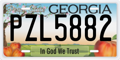 GA license plate PZL5882