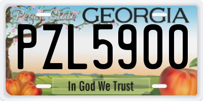 GA license plate PZL5900