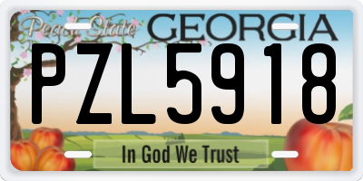 GA license plate PZL5918