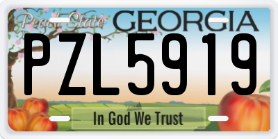 GA license plate PZL5919