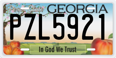 GA license plate PZL5921