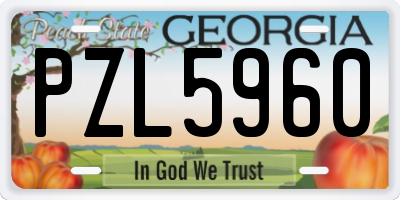 GA license plate PZL5960