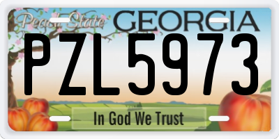 GA license plate PZL5973