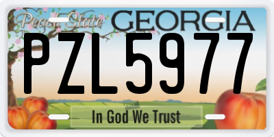 GA license plate PZL5977