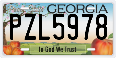 GA license plate PZL5978