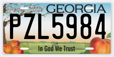 GA license plate PZL5984