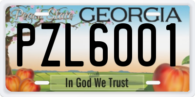 GA license plate PZL6001
