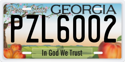 GA license plate PZL6002
