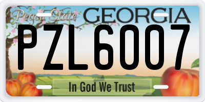 GA license plate PZL6007