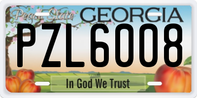 GA license plate PZL6008