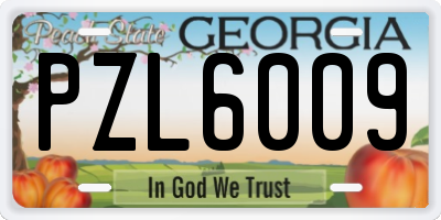 GA license plate PZL6009