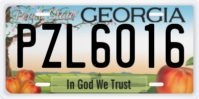 GA license plate PZL6016