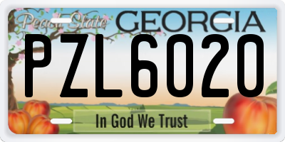GA license plate PZL6020