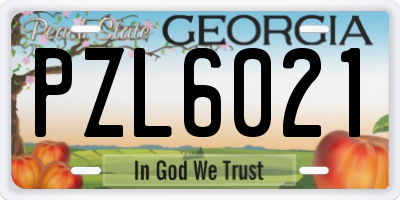 GA license plate PZL6021