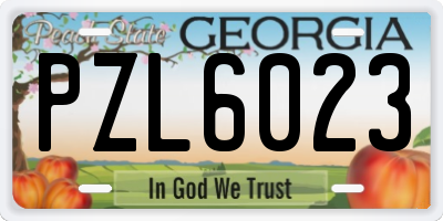 GA license plate PZL6023