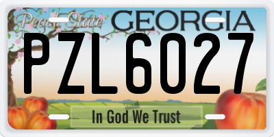 GA license plate PZL6027