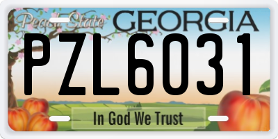 GA license plate PZL6031