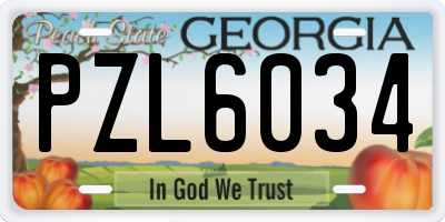 GA license plate PZL6034