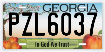 GA license plate PZL6037