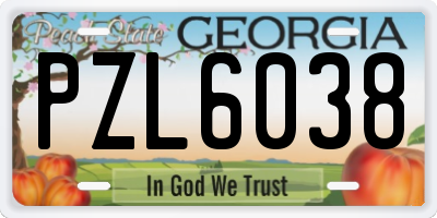 GA license plate PZL6038
