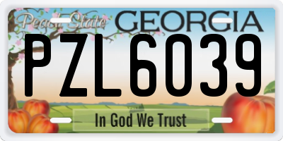 GA license plate PZL6039