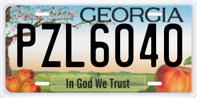GA license plate PZL6040