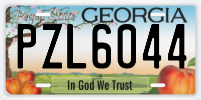 GA license plate PZL6044